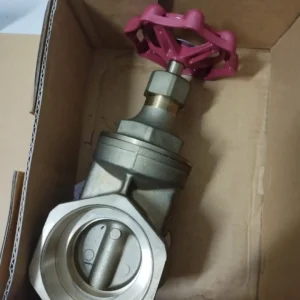 gate valves 2 1/2"